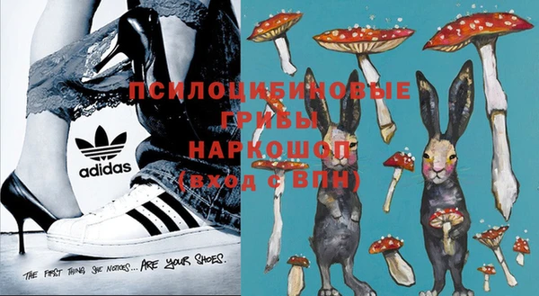 гидропоника Алзамай