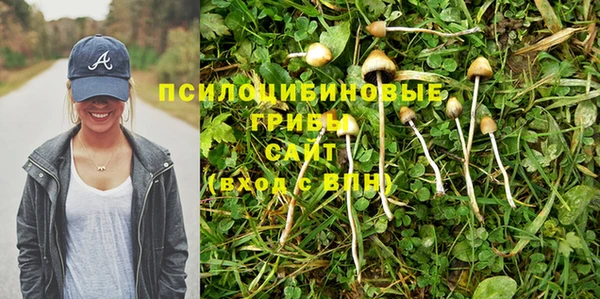 гидропоника Алзамай